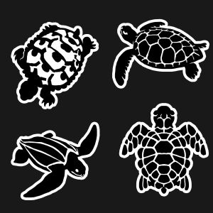 Turtle Vinyl Page